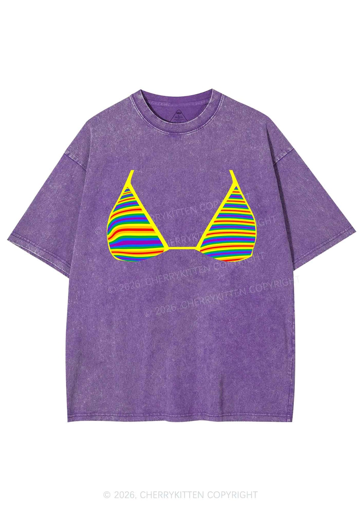 Rainbow Stripe Bra Pride Y2K Shirts Washed Tee Cherrykitten