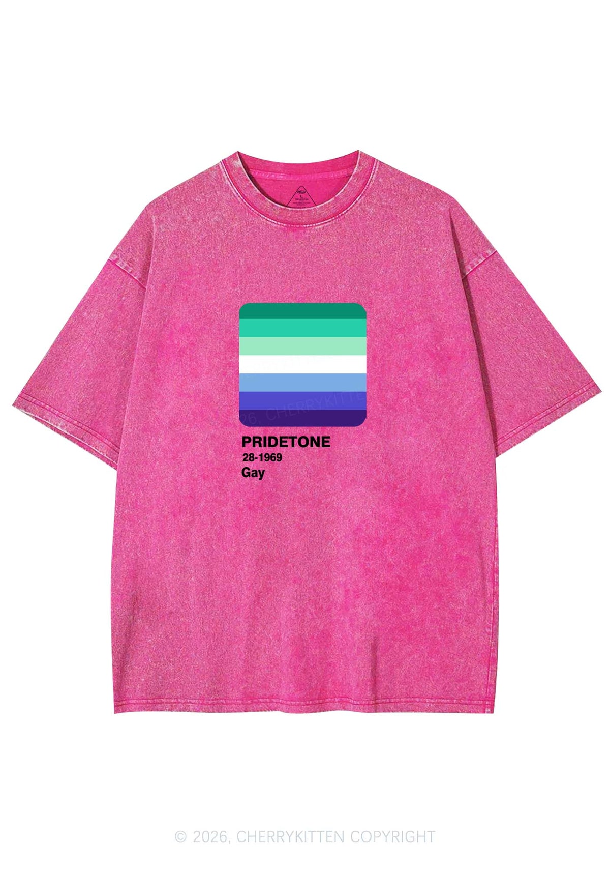 Pridetone Gay Pride Y2K Shirts Washed Tee Cherrykitten