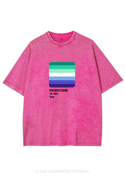 Pridetone Gay Pride Y2K Shirts Washed Tee Cherrykitten