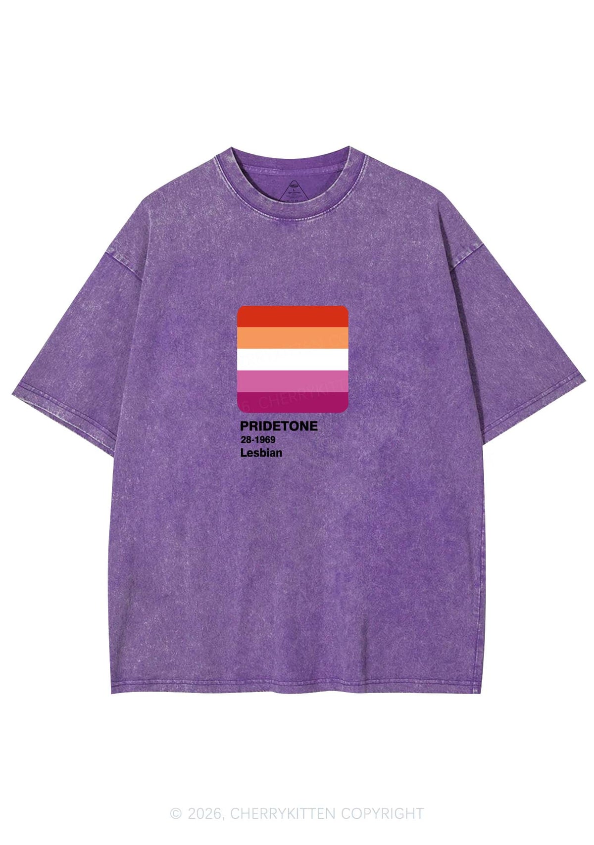 Pridetone Lesbian Pride Y2K Shirts Washed Tee Cherrykitten