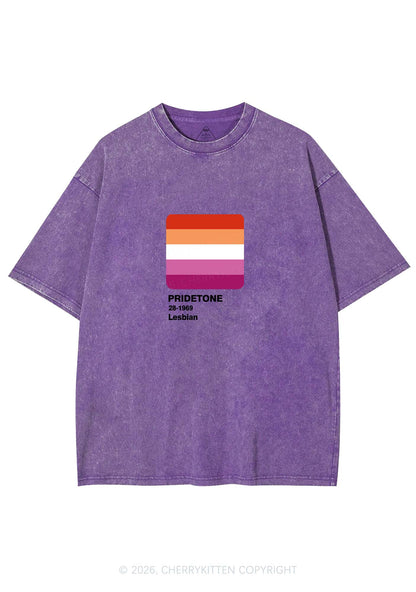 Pridetone Lesbian Pride Y2K Shirts Washed Tee Cherrykitten