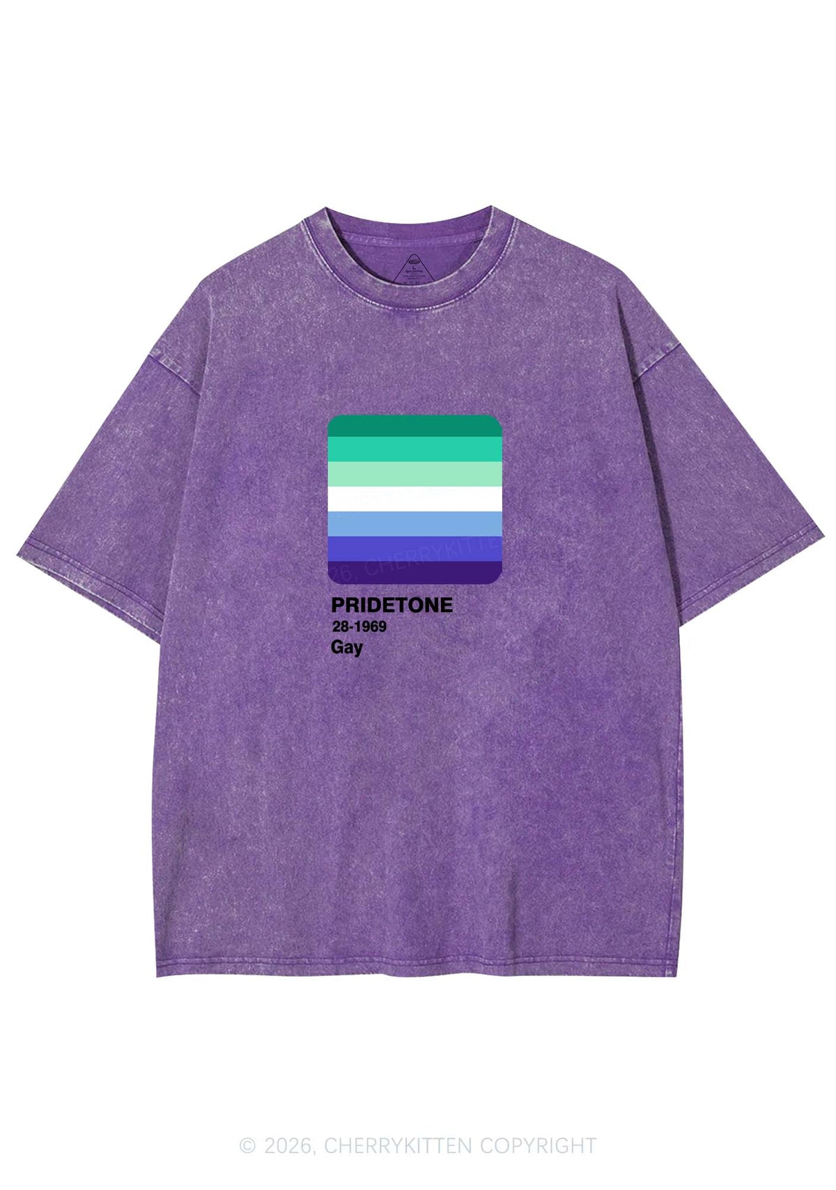 Pridetone Gay Pride Y2K Shirts Washed Tee Cherrykitten