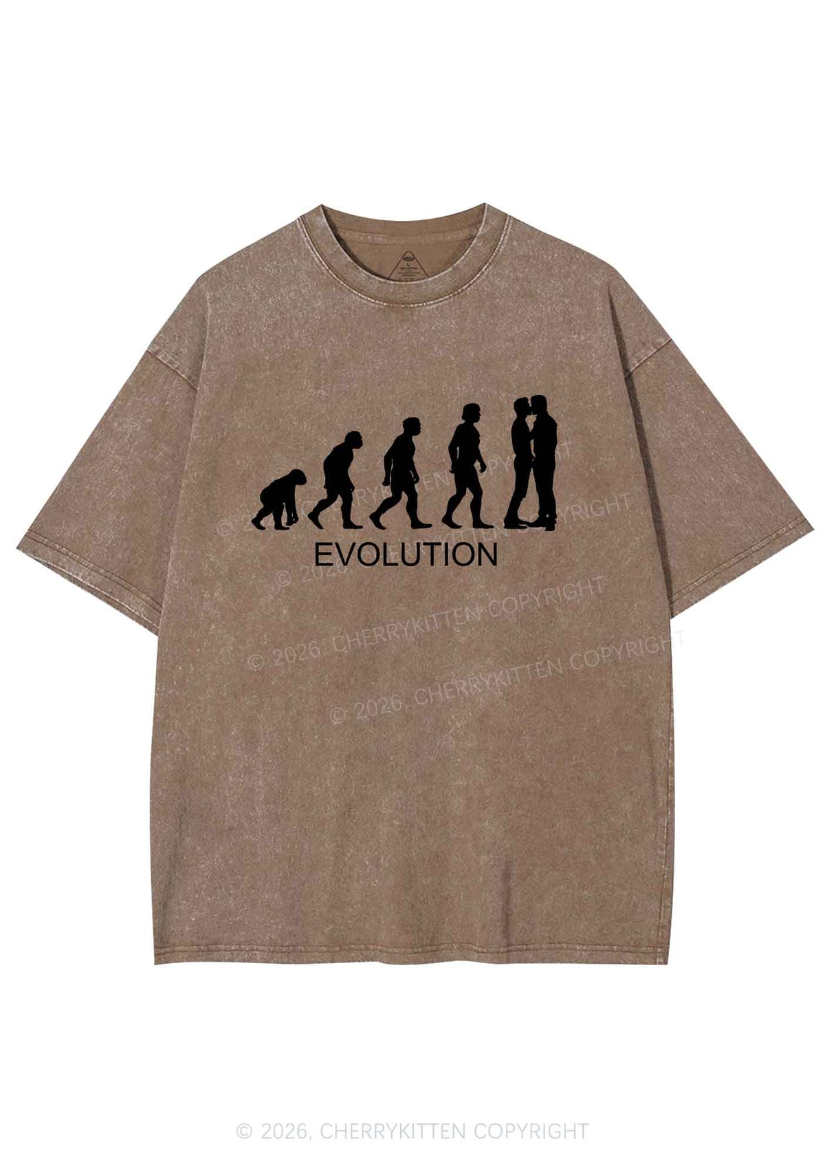 Gay Evolution Pride Y2K Shirts Washed Tee Cherrykitten