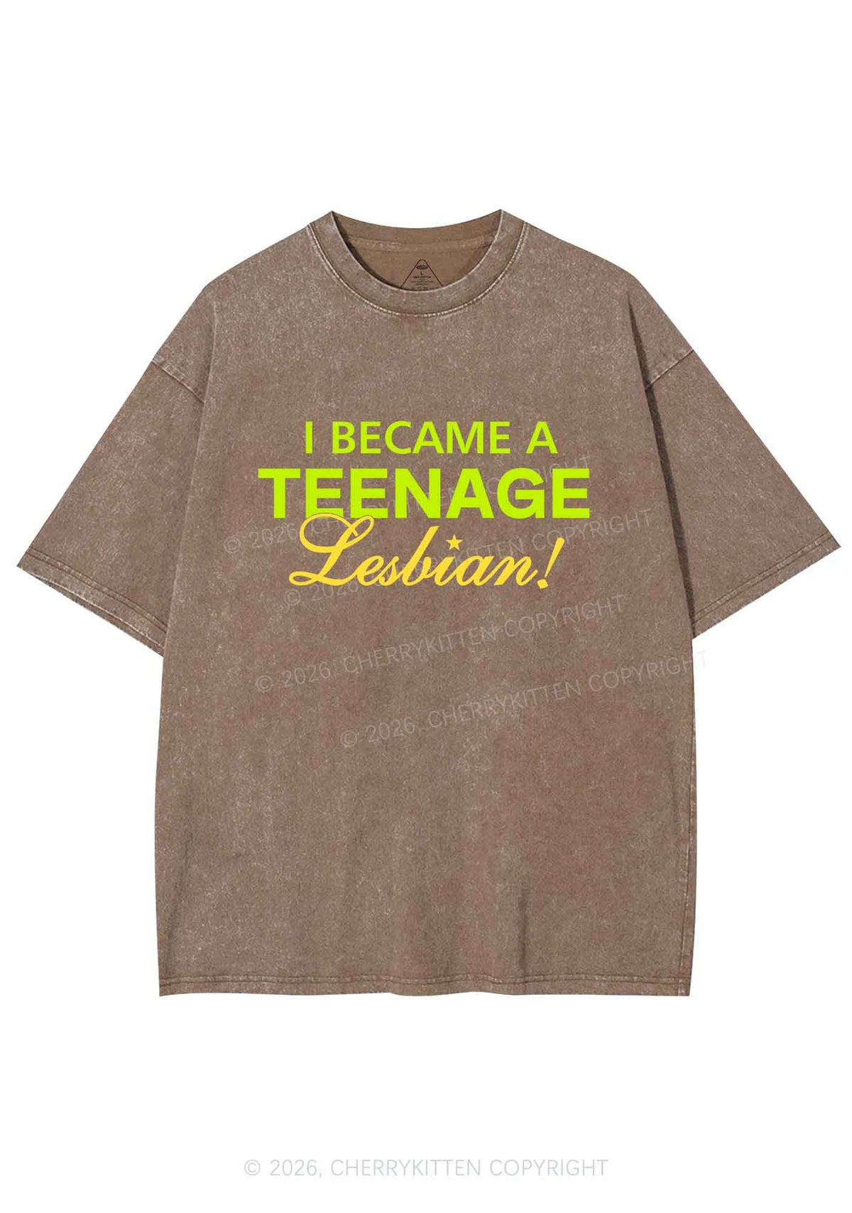 I Became A Teenage Lesbian Pride Y2K Shirts Washed Tee Cherrykitten