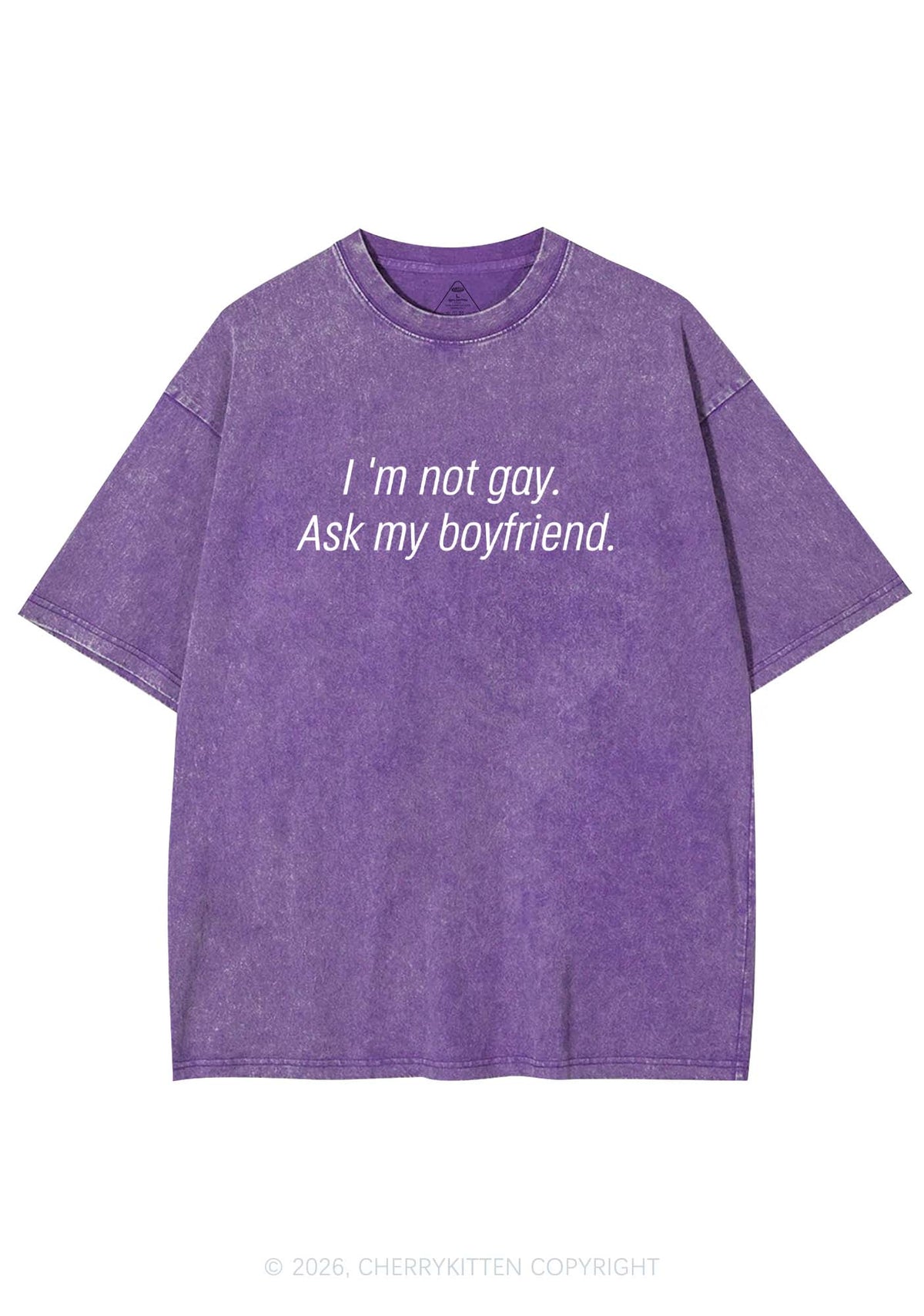 Im Not Gay Pride Y2K Shirts Washed Tee Cherrykitten