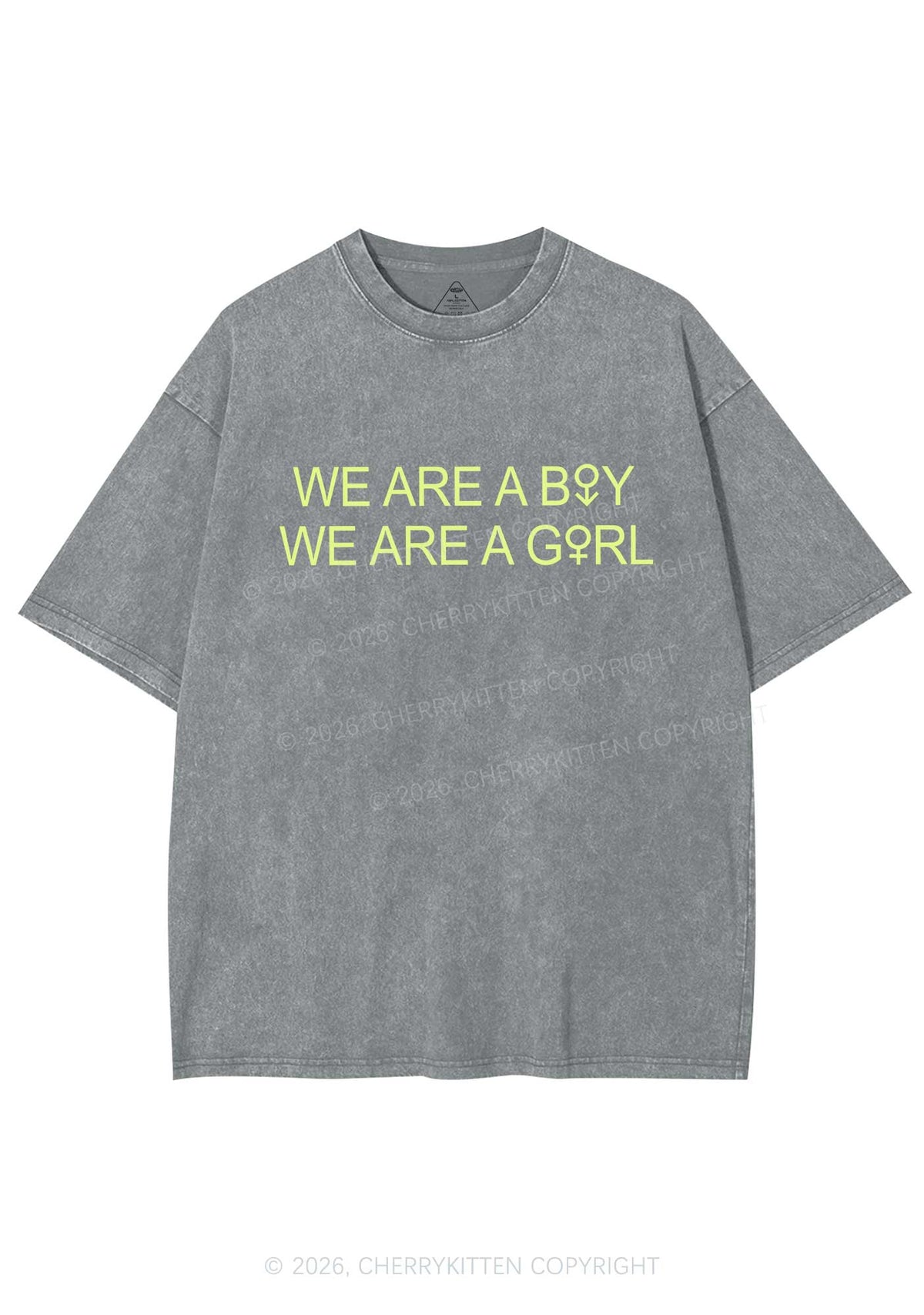 We Are A Boy Pride Y2K Shirts Washed Tee Cherrykitten