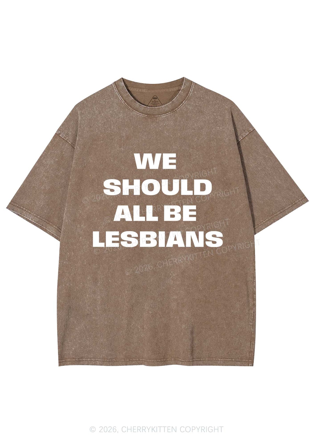 We Should All Be Lesbians Pride Y2K Shirts Washed Tee Cherrykitten
