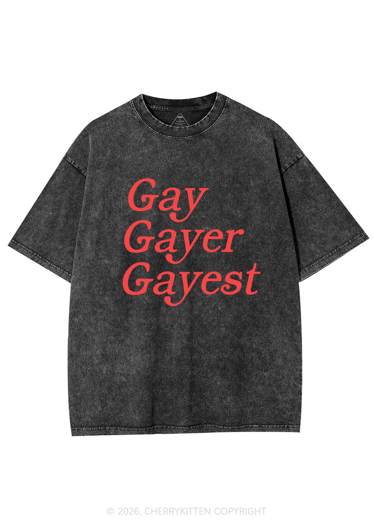 Gay Gayer Gayest Pride Y2K Shirts Washed Tee Cherrykitten