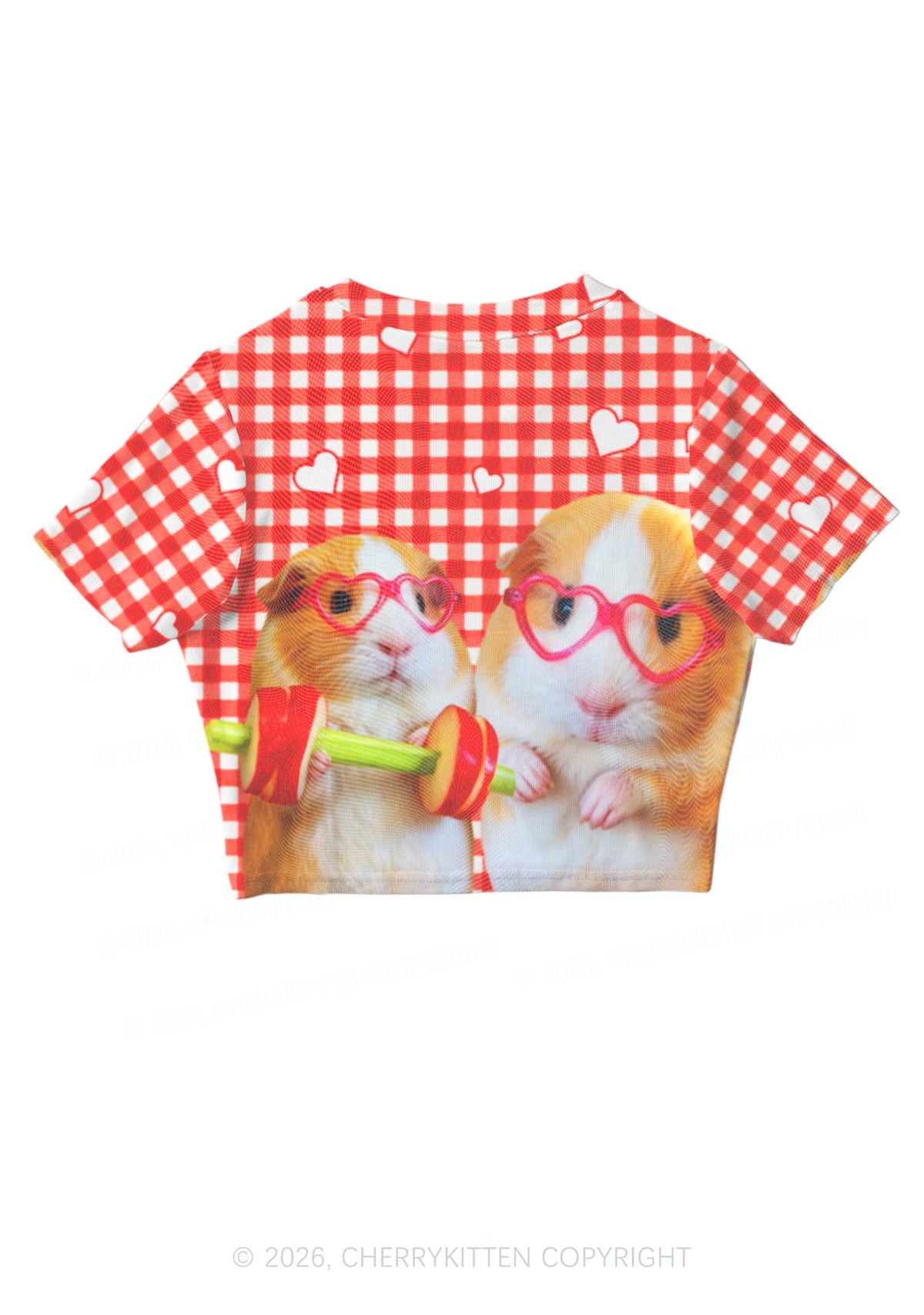 Two Guinea Pigs Y2K Mesh Crop Top Cherrykitten