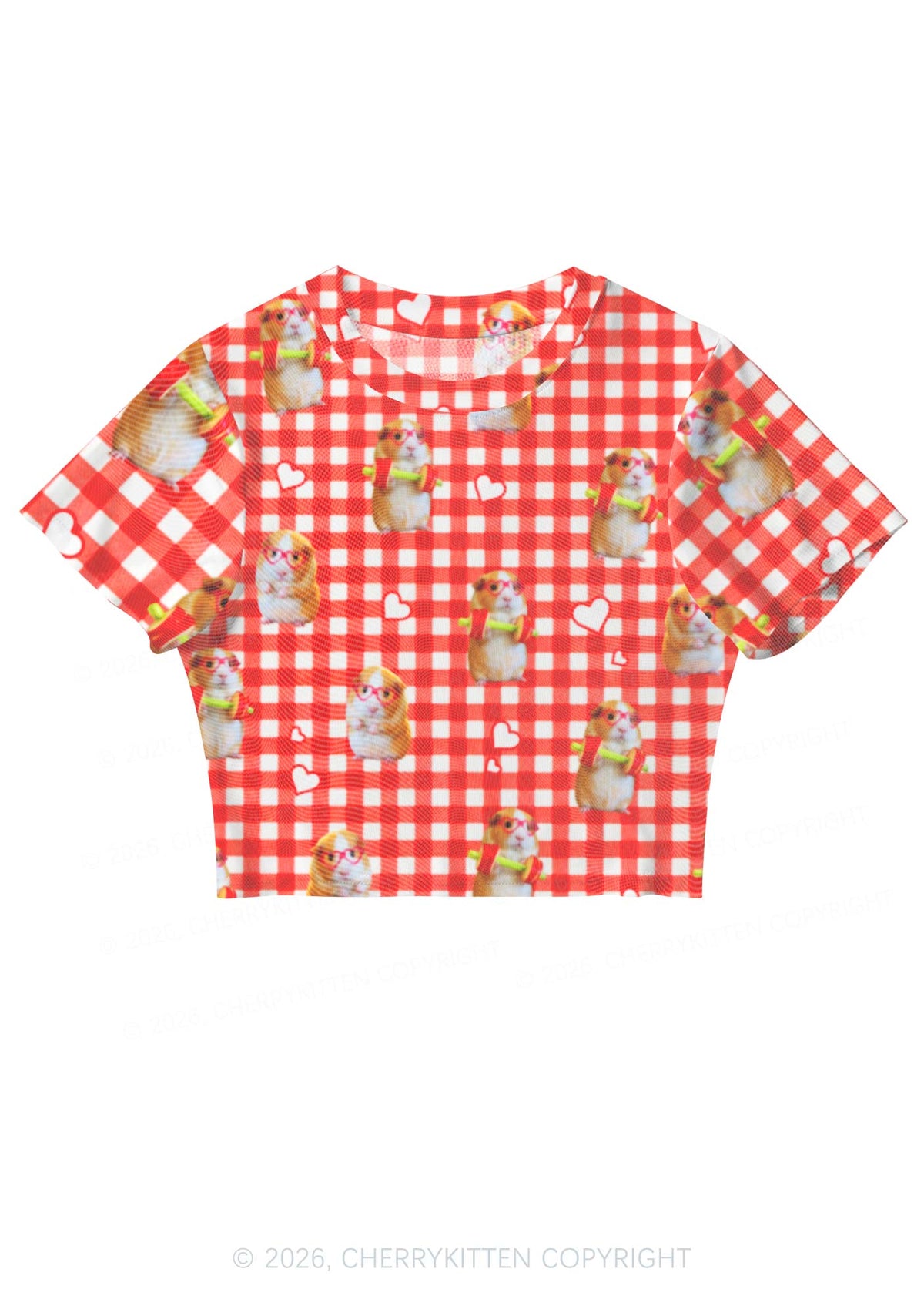 Gym Guinea Pig Red Plaid Y2K Mesh Crop Top Cherrykitten