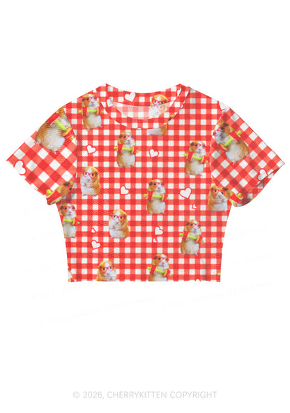 Gym Guinea Pig Red Plaid Y2K Mesh Crop Top Cherrykitten