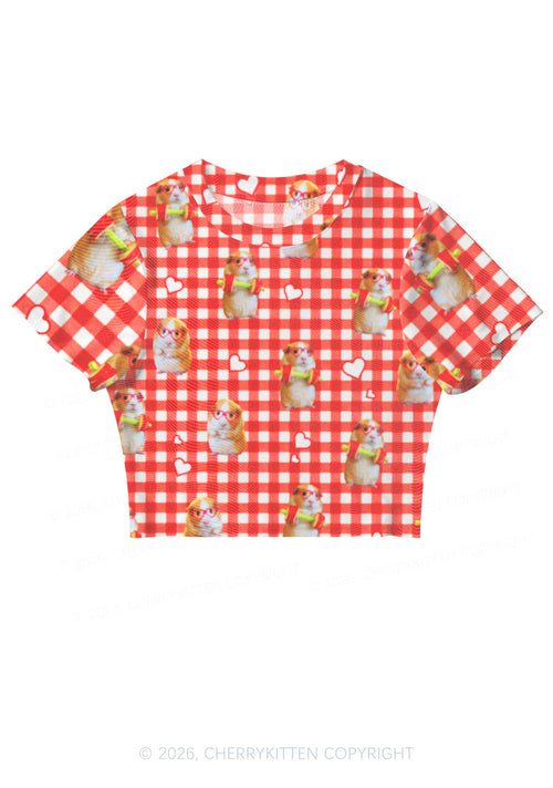 Gym Guinea Pig Red Plaid Y2K Mesh Crop Top Cherrykitten