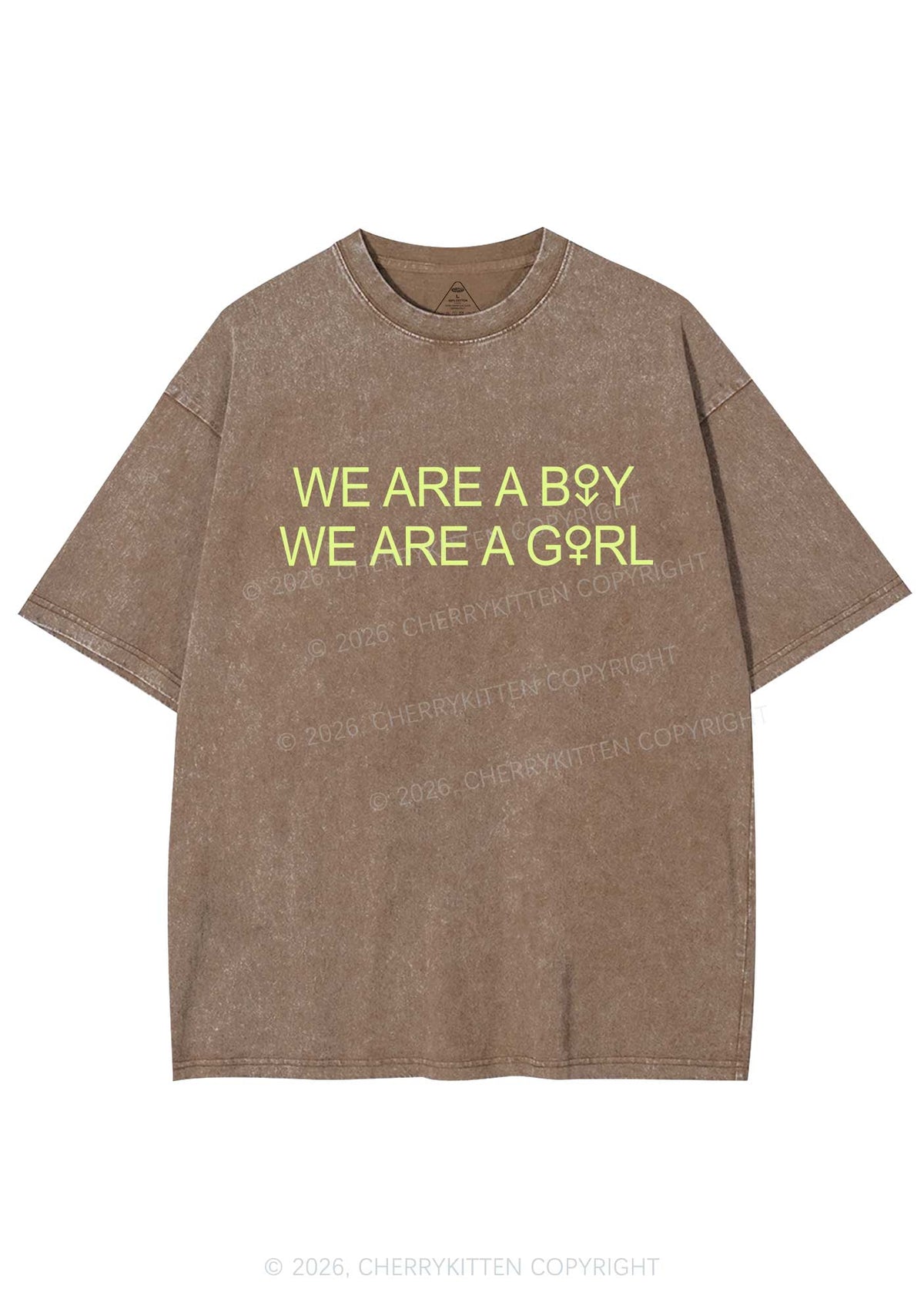 We Are A Boy Pride Y2K Shirts Washed Tee Cherrykitten