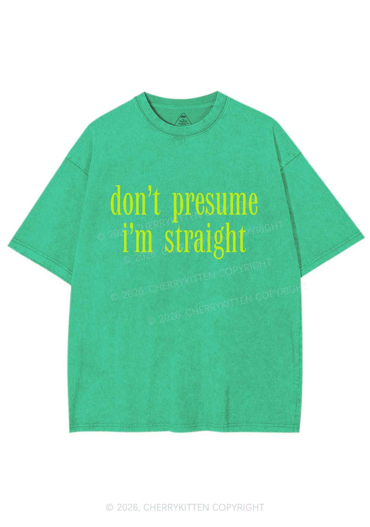 Dont Presume Im Straight Pride Y2K Shirts Washed Tee Cherrykitten