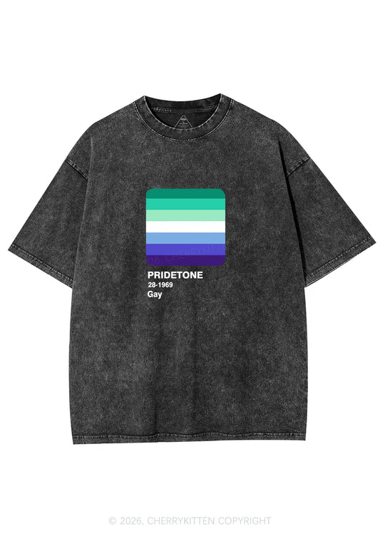 Pridetone Gay Pride Y2K Shirts Washed Tee Cherrykitten