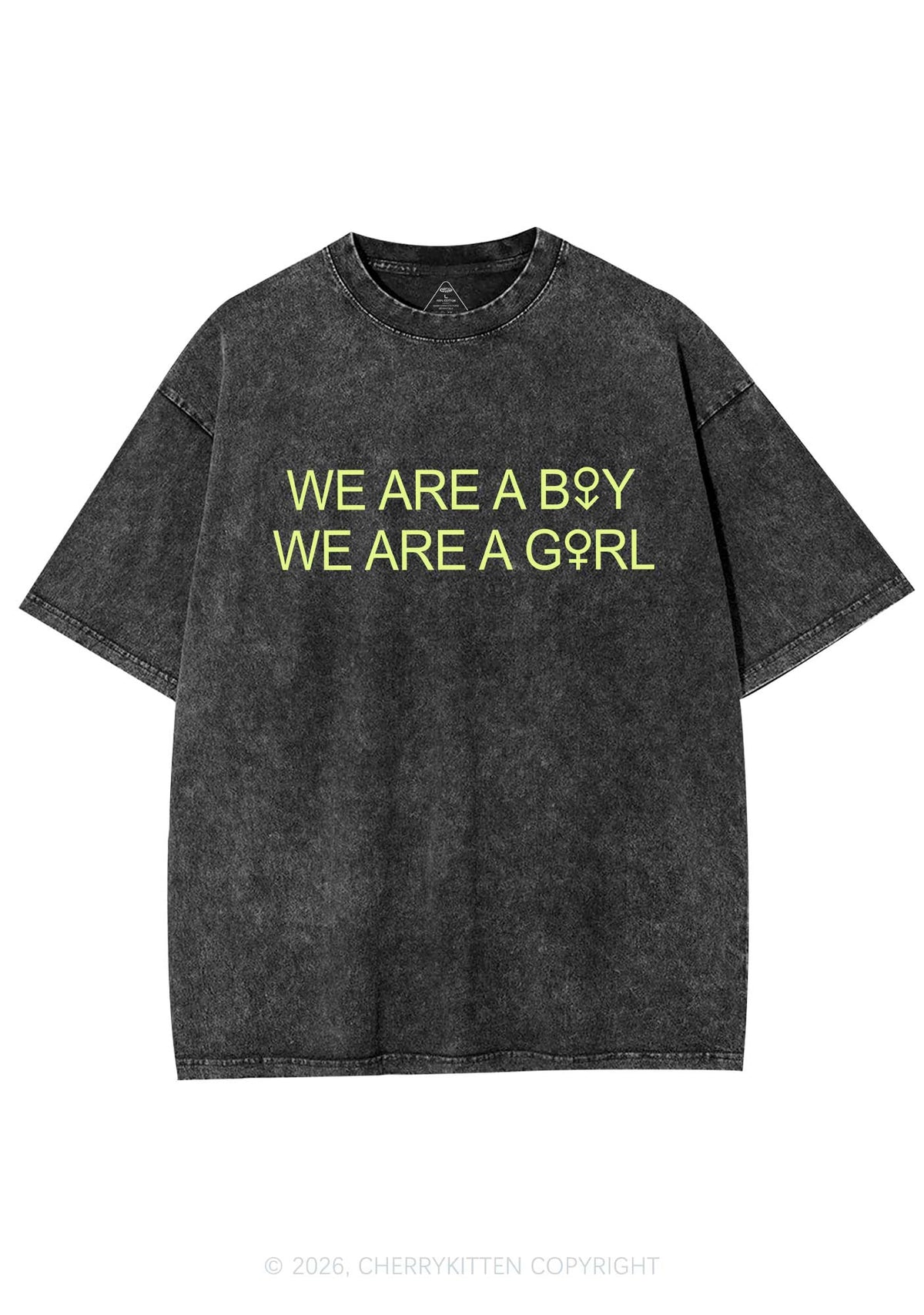 We Are A Boy Pride Y2K Shirts Washed Tee Cherrykitten