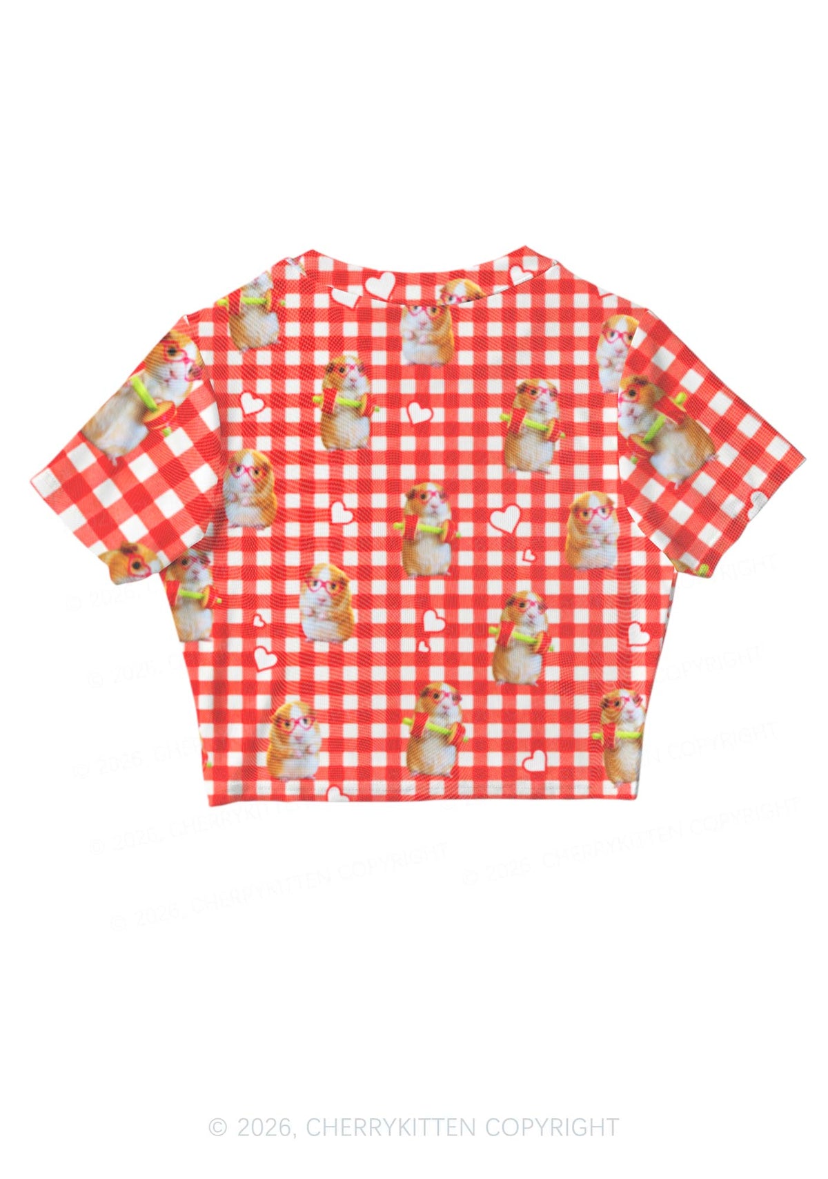 Gym Guinea Pig Red Plaid Y2K Mesh Crop Top Cherrykitten