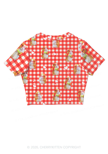 Gym Guinea Pig Red Plaid Y2K Mesh Crop Top Cherrykitten