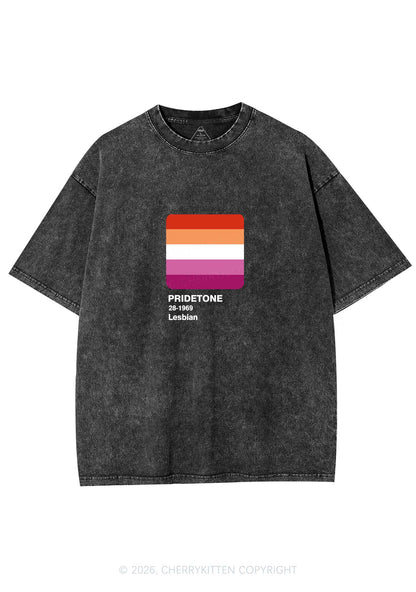 Pridetone Lesbian Pride Y2K Shirts Washed Tee Cherrykitten