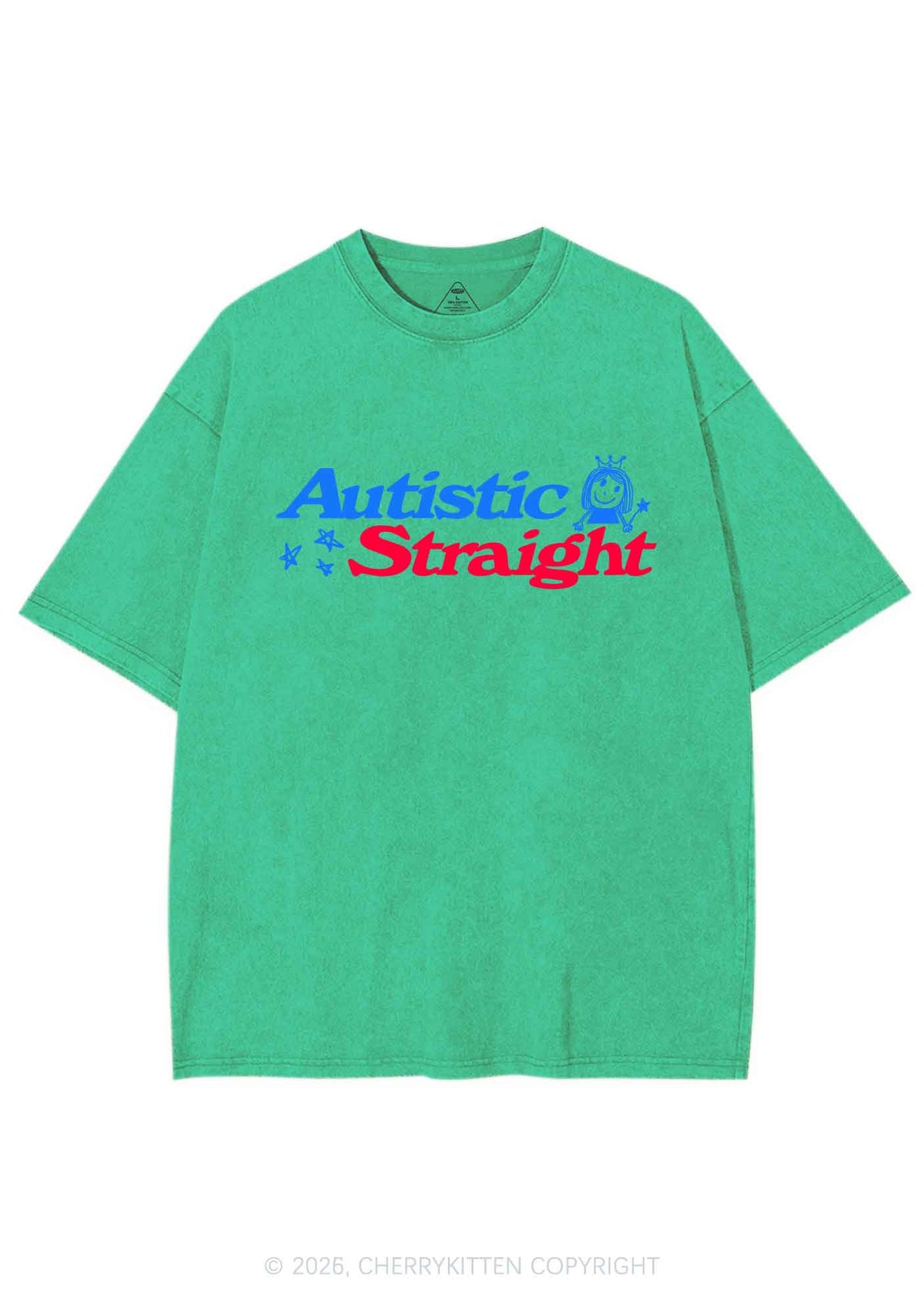Autistic Straight Pride Y2K Shirts Washed Tee Cherrykitten