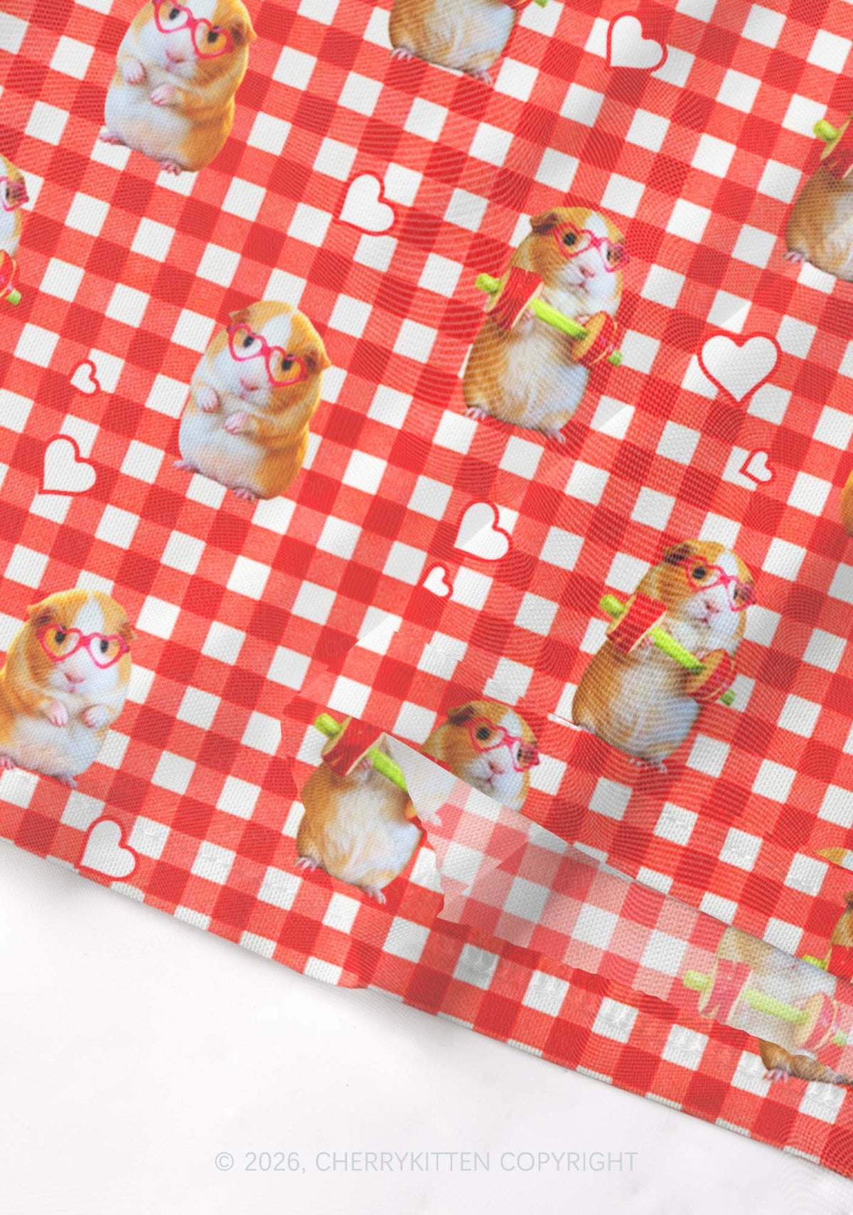 Gym Guinea Pig Red Plaid Y2K Mesh Crop Top Cherrykitten