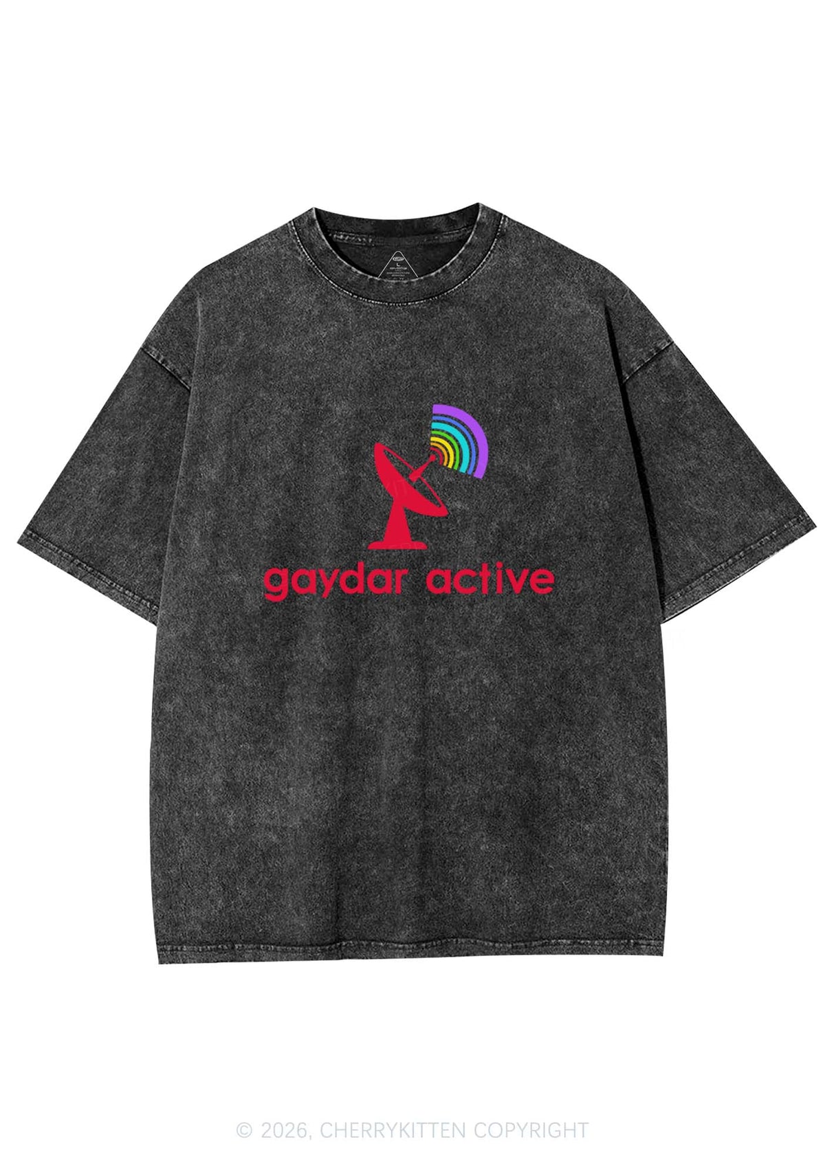 Gaydar Active Pride Y2K Shirts Washed Tee Cherrykitten