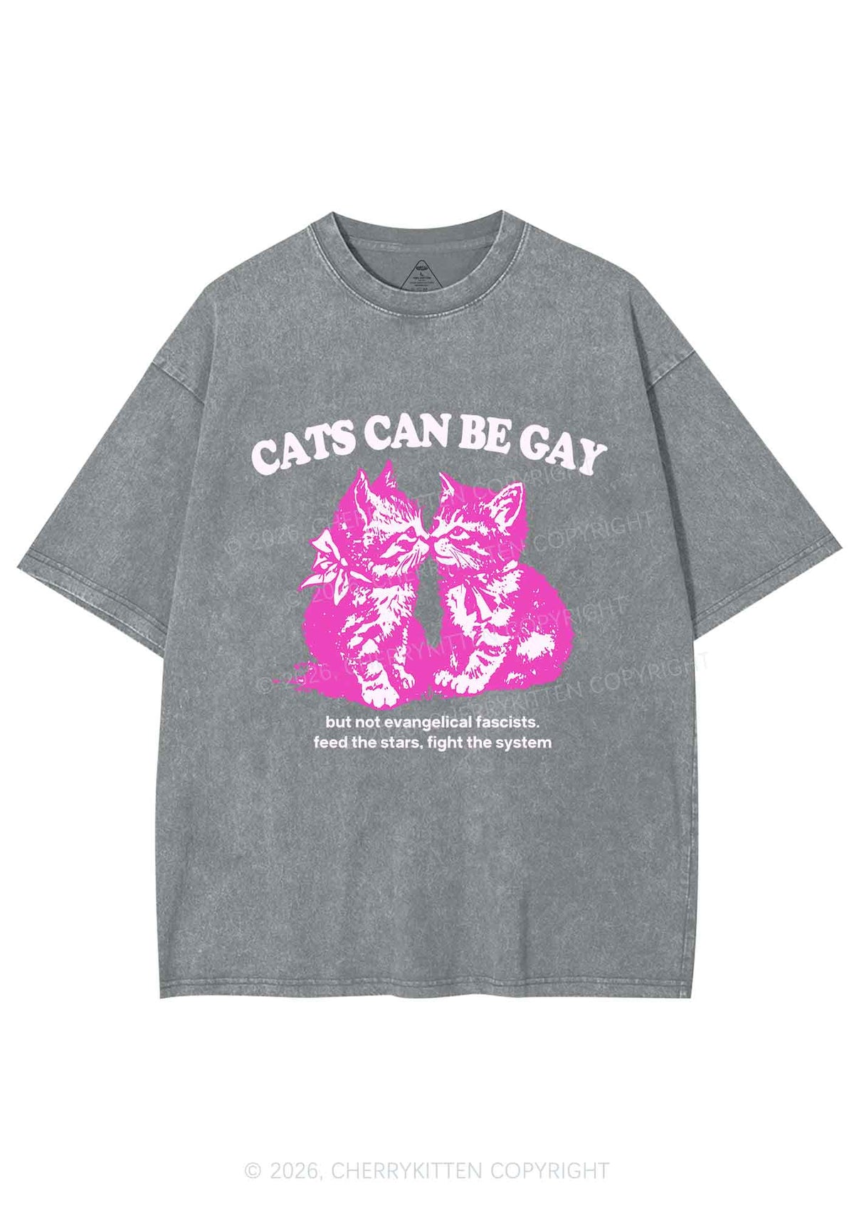Cat Can Be Gay Pride Y2K Shirts Washed Tee Cherrykitten
