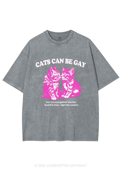 Cat Can Be Gay Pride Y2K Shirts Washed Tee Cherrykitten