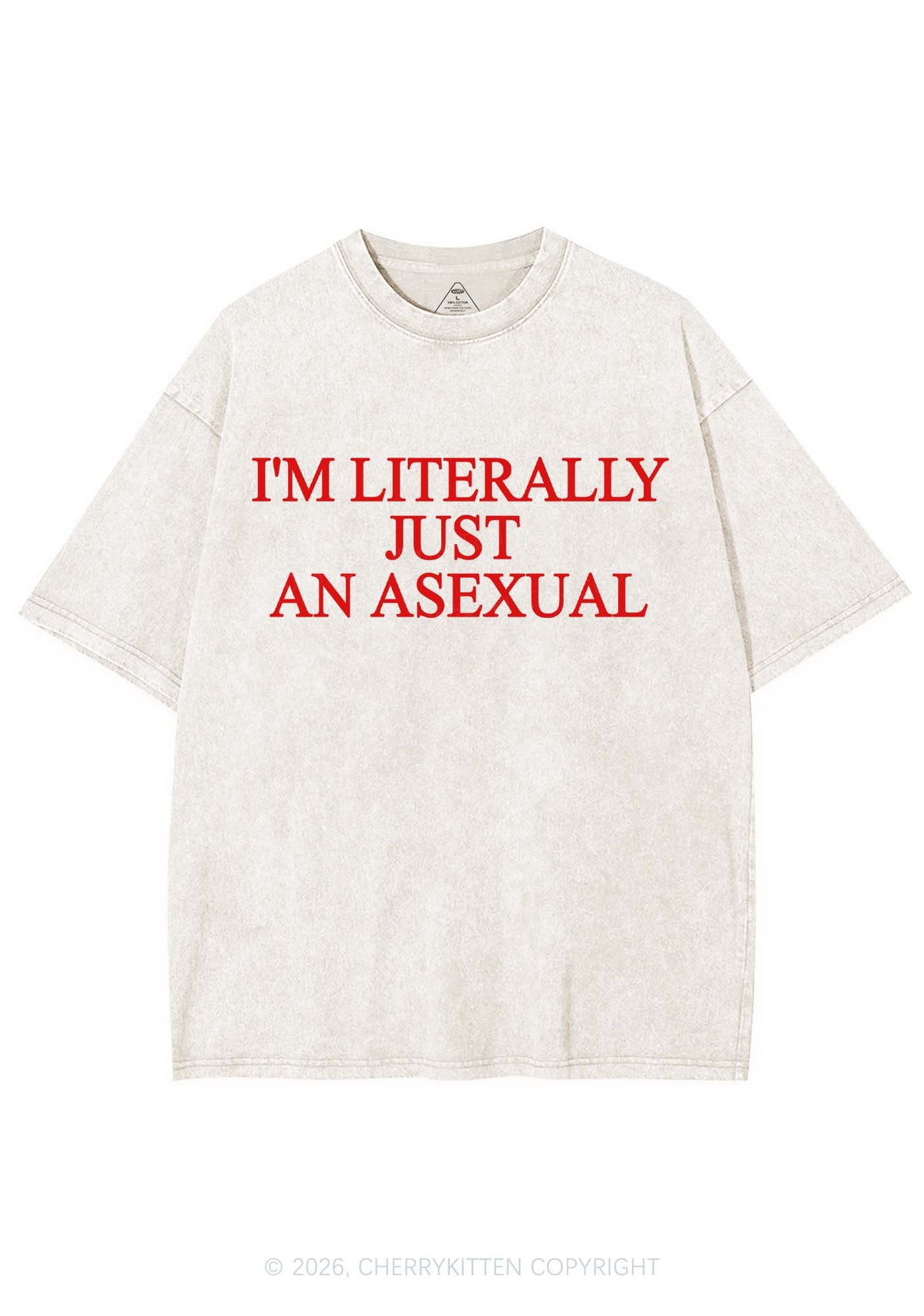 Im Literally Just An Asexual Pride Y2K Shirts Washed Tee Cherrykitten
