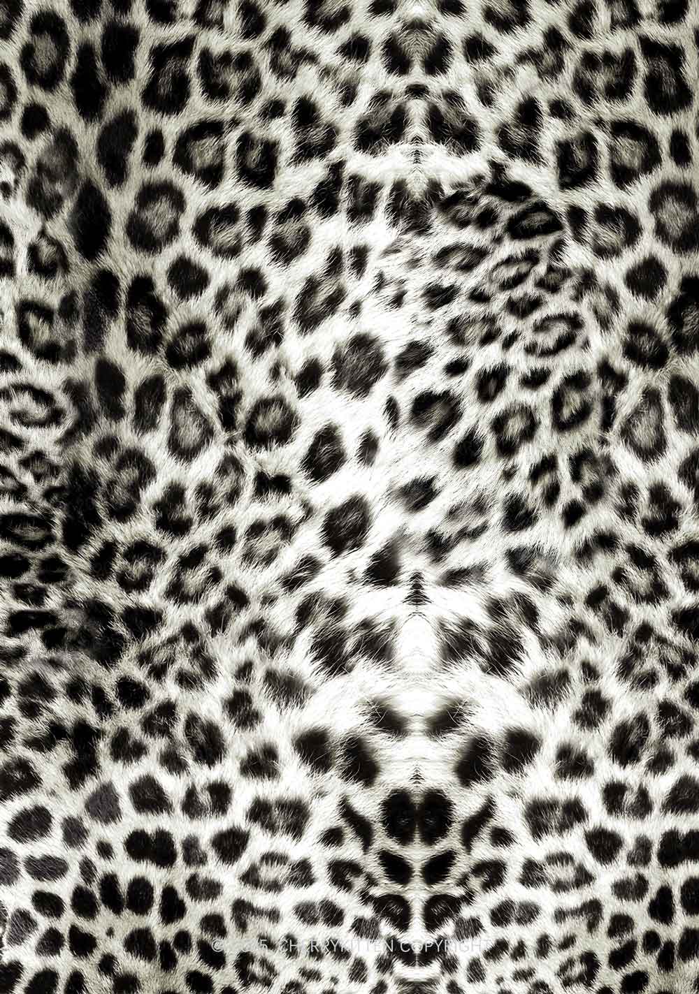 Wild Leopard Y2K Mesh Crop Top Cherrykitten