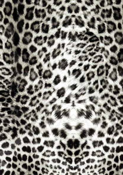 Wild Leopard Y2K Mesh Crop Top Cherrykitten