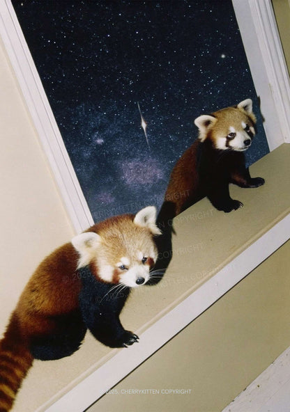 Raccoon Friends Y2K Mesh Crop Top Cherrykitten