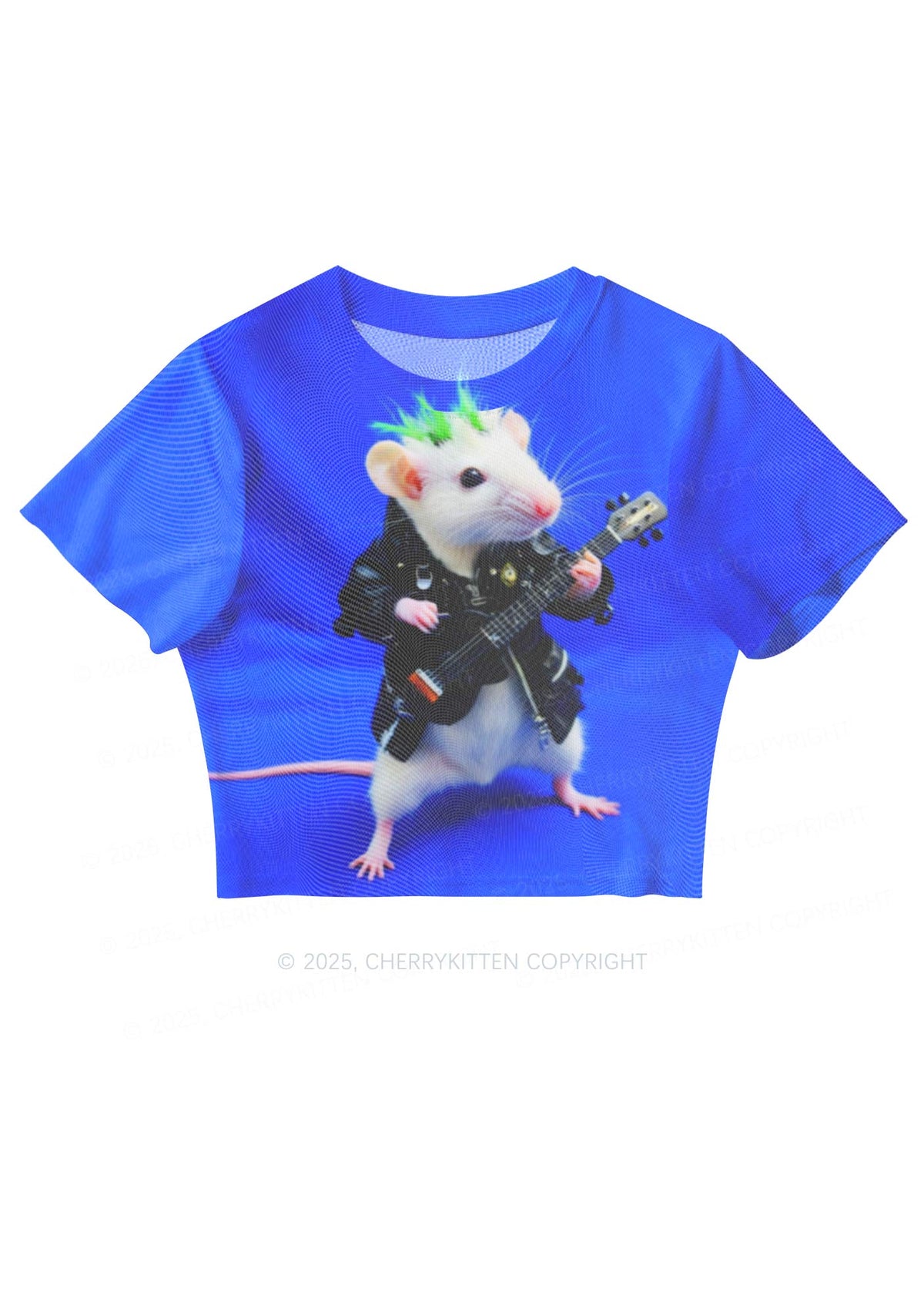 Guitar Playing Ratz Y2K Mesh Crop Top Cherrykitten