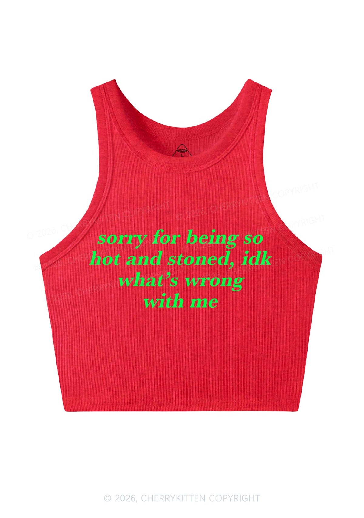 Sorry For Being Hot And Stoned Y2K Crop Tank Top Cherrykitten