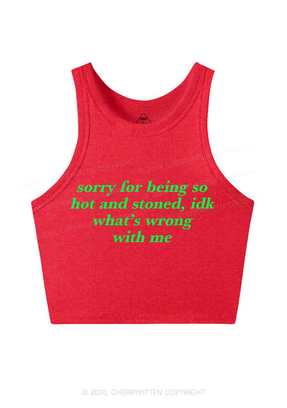 Sorry For Being Hot And Stoned Y2K Crop Tank Top Cherrykitten