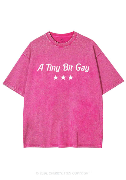 A Tiny Bit Gay Pride Y2K Shirts Washed Tee Cherrykitten