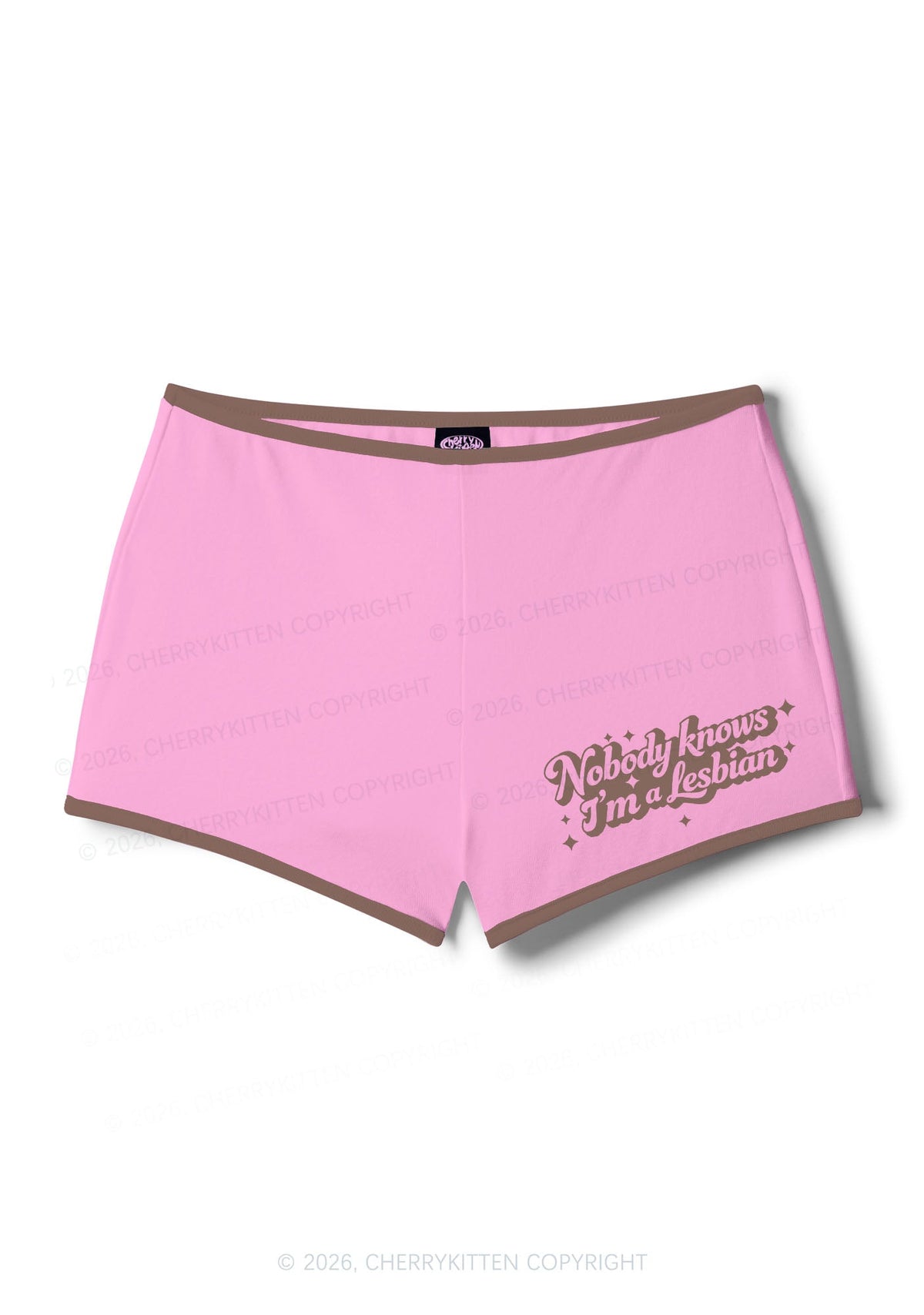 Nobody Knows Im A Lesbian Pride Y2K Booty Shorts Cherrykitten