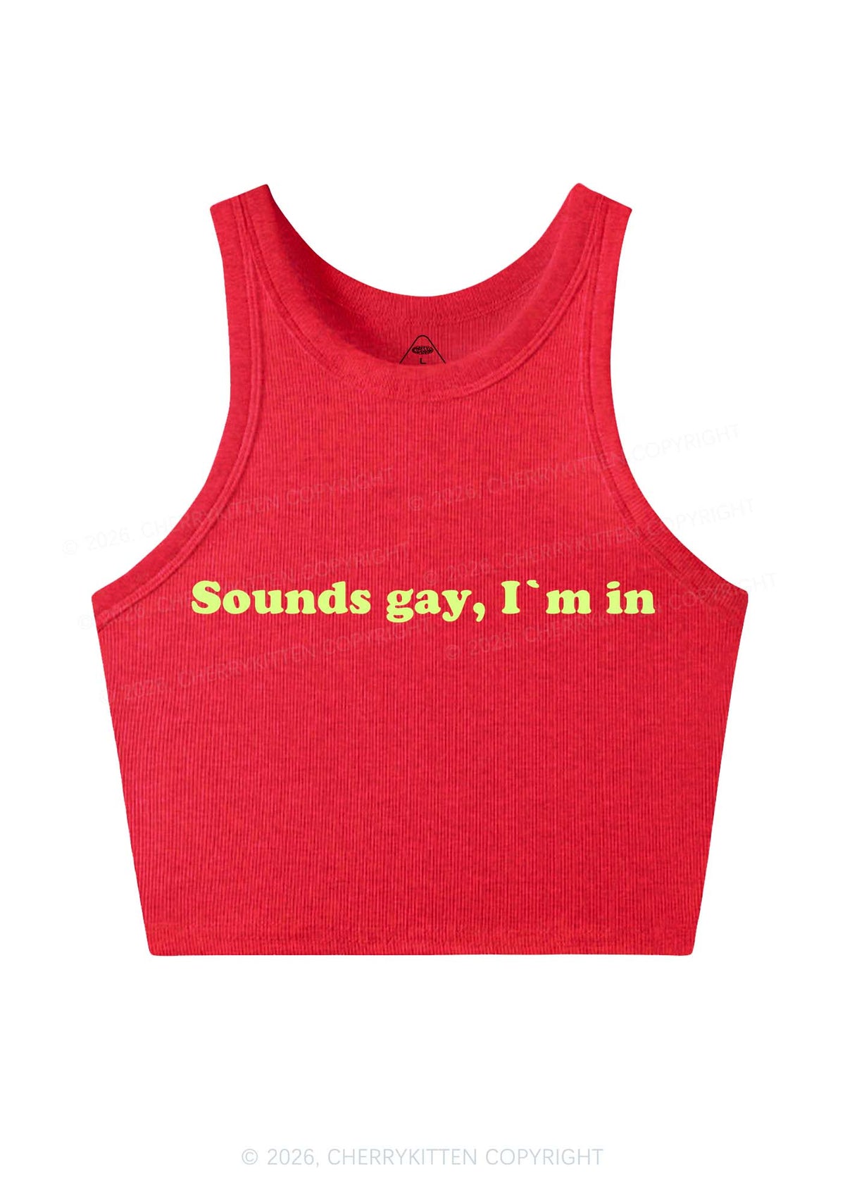 Sounds Gay Y2K Crop Tank Top Cherrykitten