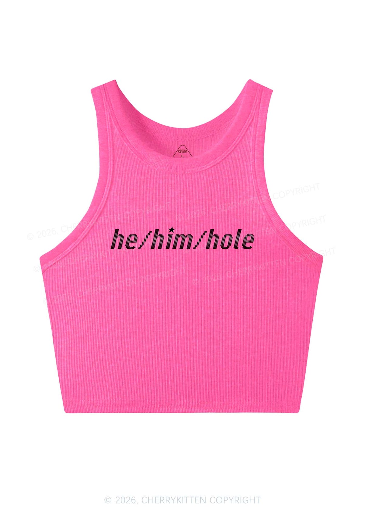 He Him Hole Pride Y2K Crop Tank Top Cherrykitten