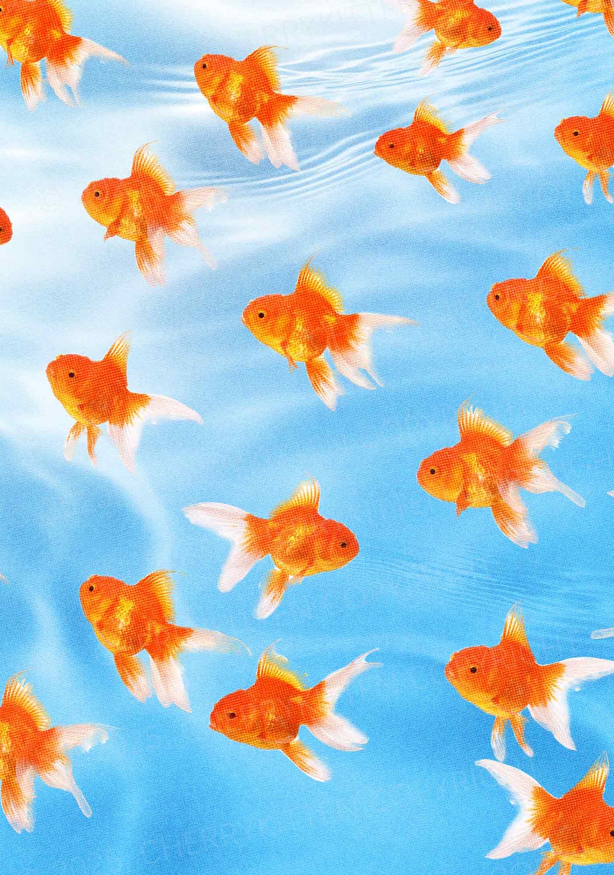 Goldfish Y2K Mesh Crop Top Cherrykitten
