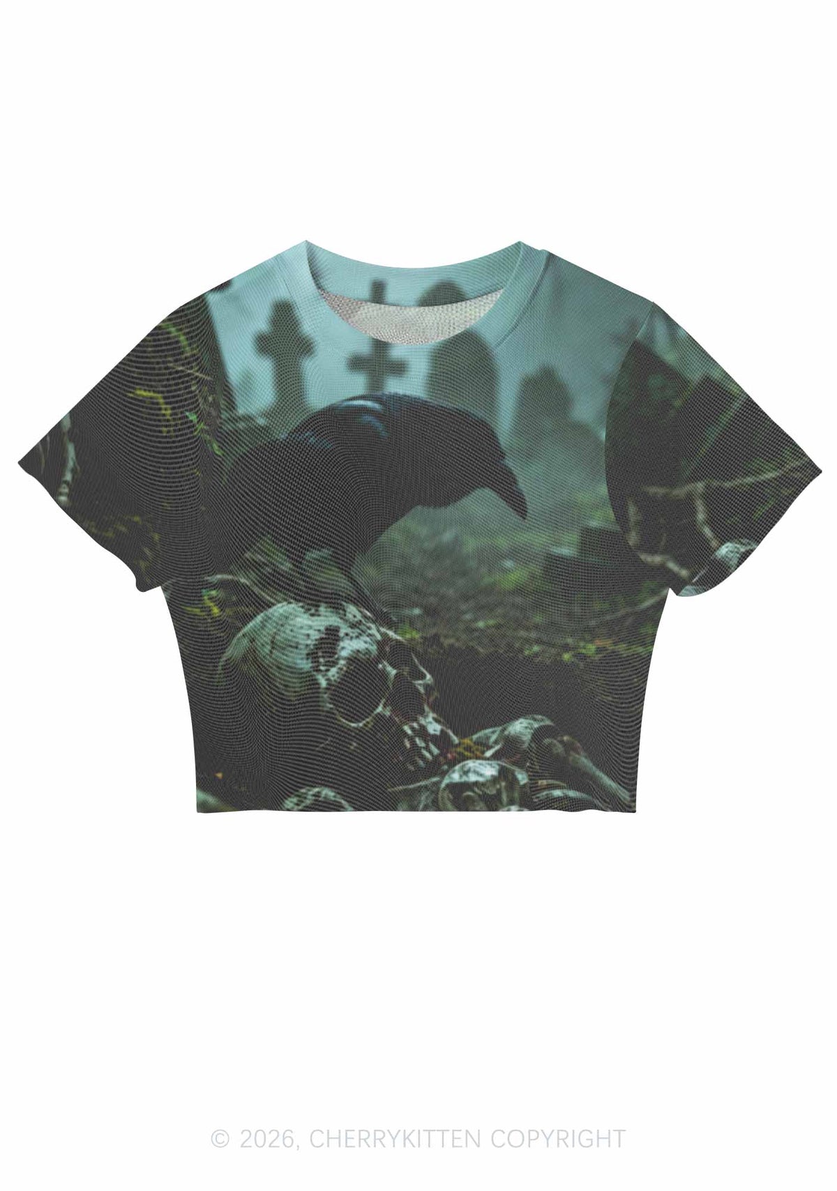 Halloween Raven On Skull Y2K Mesh Crop Top Cherrykitten