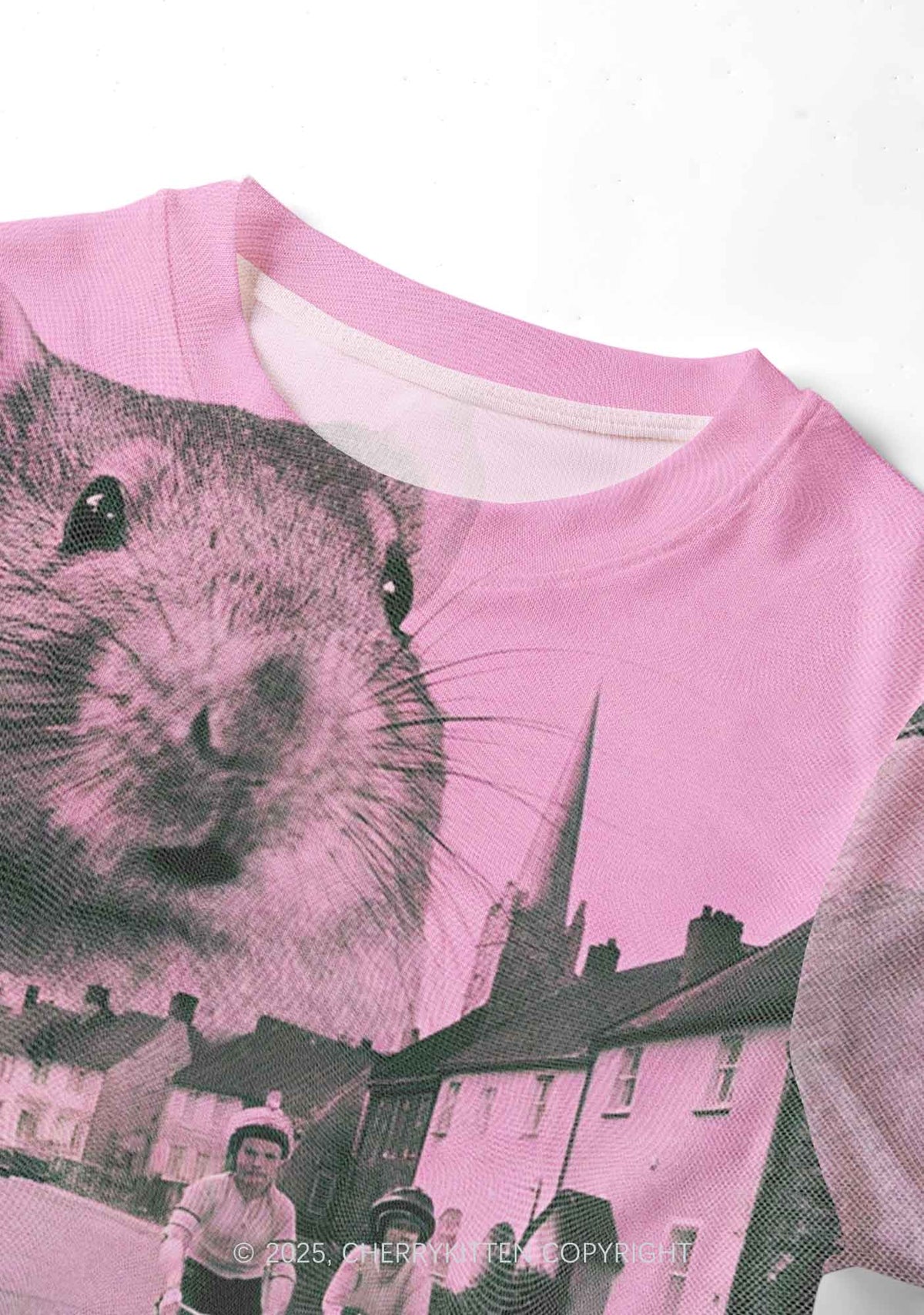 Rat Street Y2K Mesh Crop Top Cherrykitten