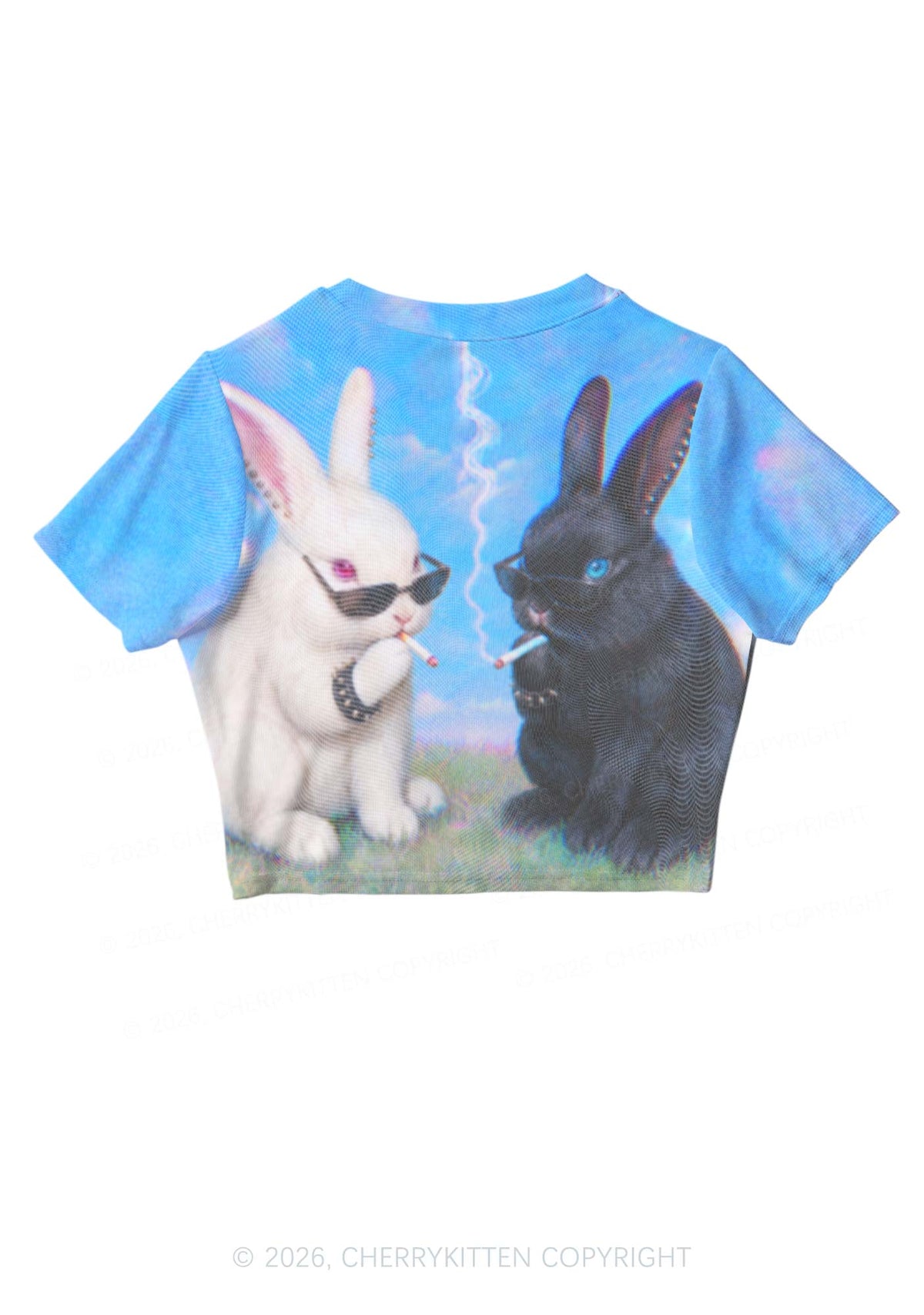 Smoking Punk Bunny Y2K Mesh Crop Top Cherrykitten
