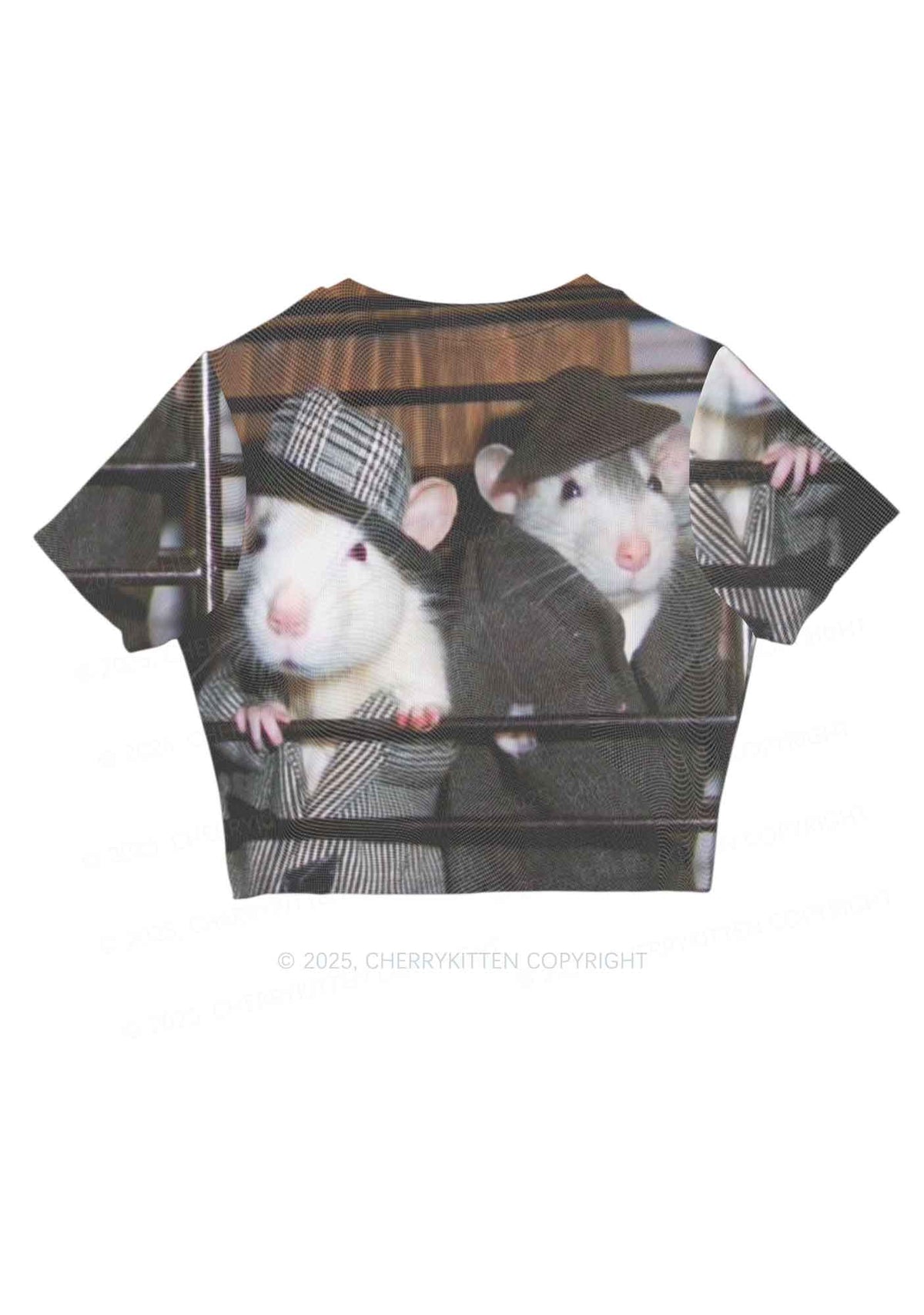 Gentlemen Rats Y2K Mesh Crop Top Cherrykitten