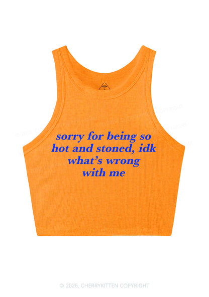 Sorry For Being Hot And Stoned Y2K Crop Tank Top Cherrykitten