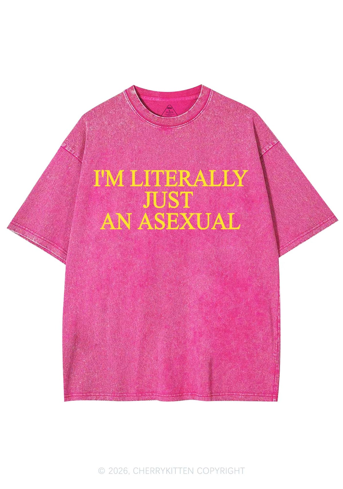 Im Literally Just An Asexual Pride Y2K Shirts Washed Tee Cherrykitten