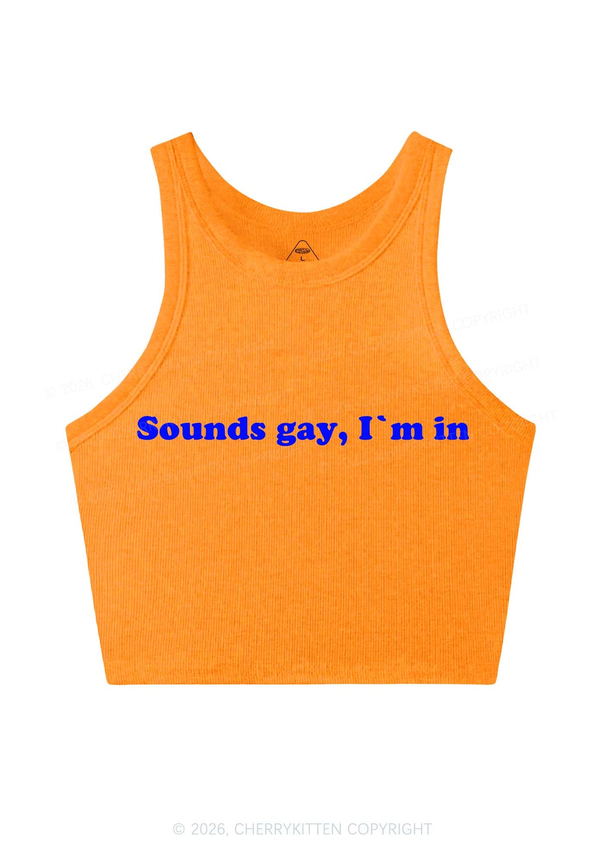Sounds Gay Y2K Crop Tank Top Cherrykitten