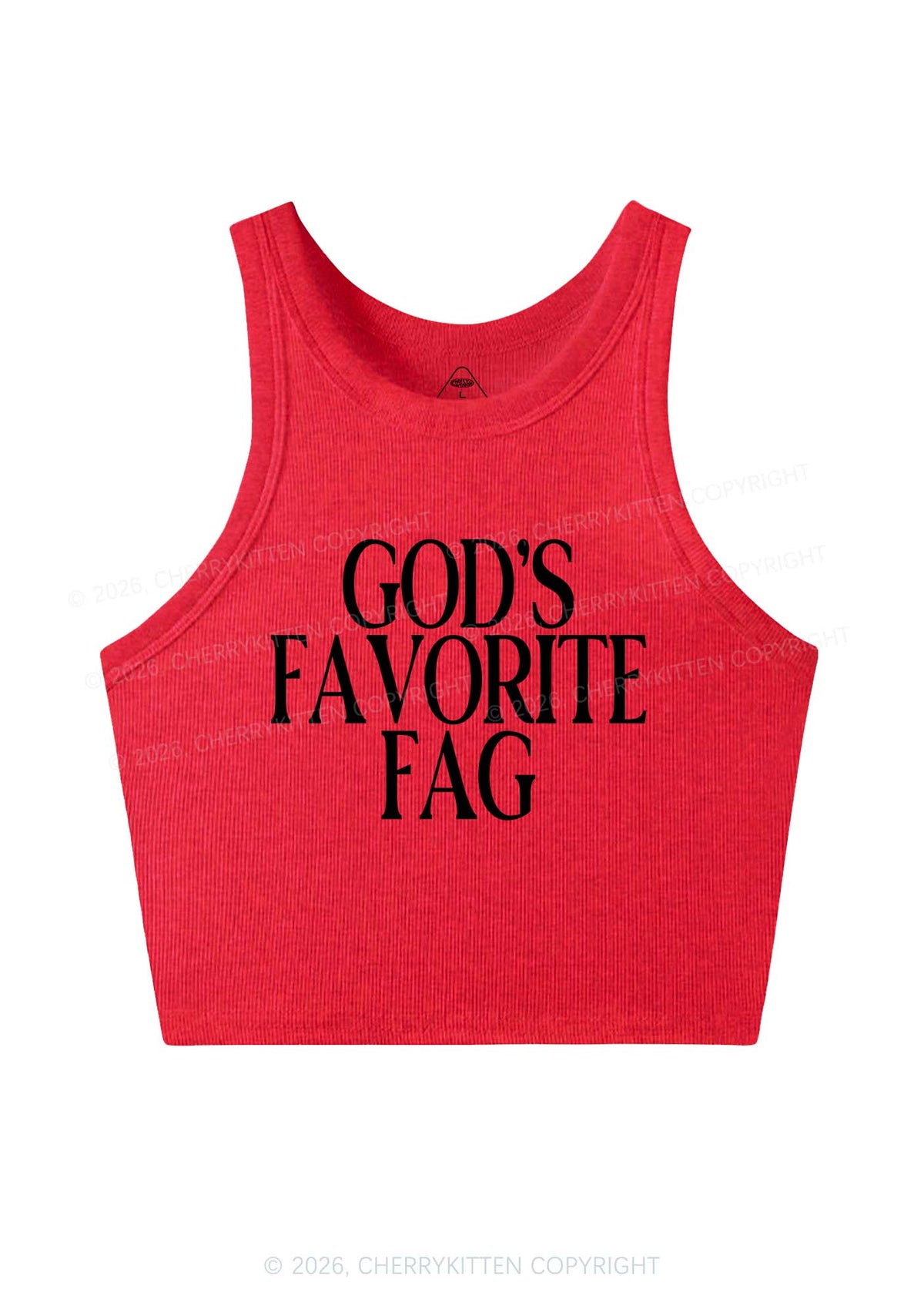 Gods Favorite Fag Pride Y2K Crop Tank Top Cherrykitten