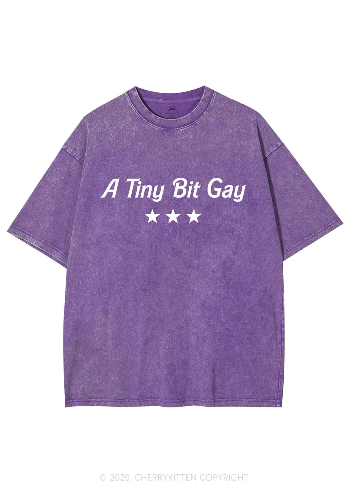 A Tiny Bit Gay Pride Y2K Shirts Washed Tee Cherrykitten