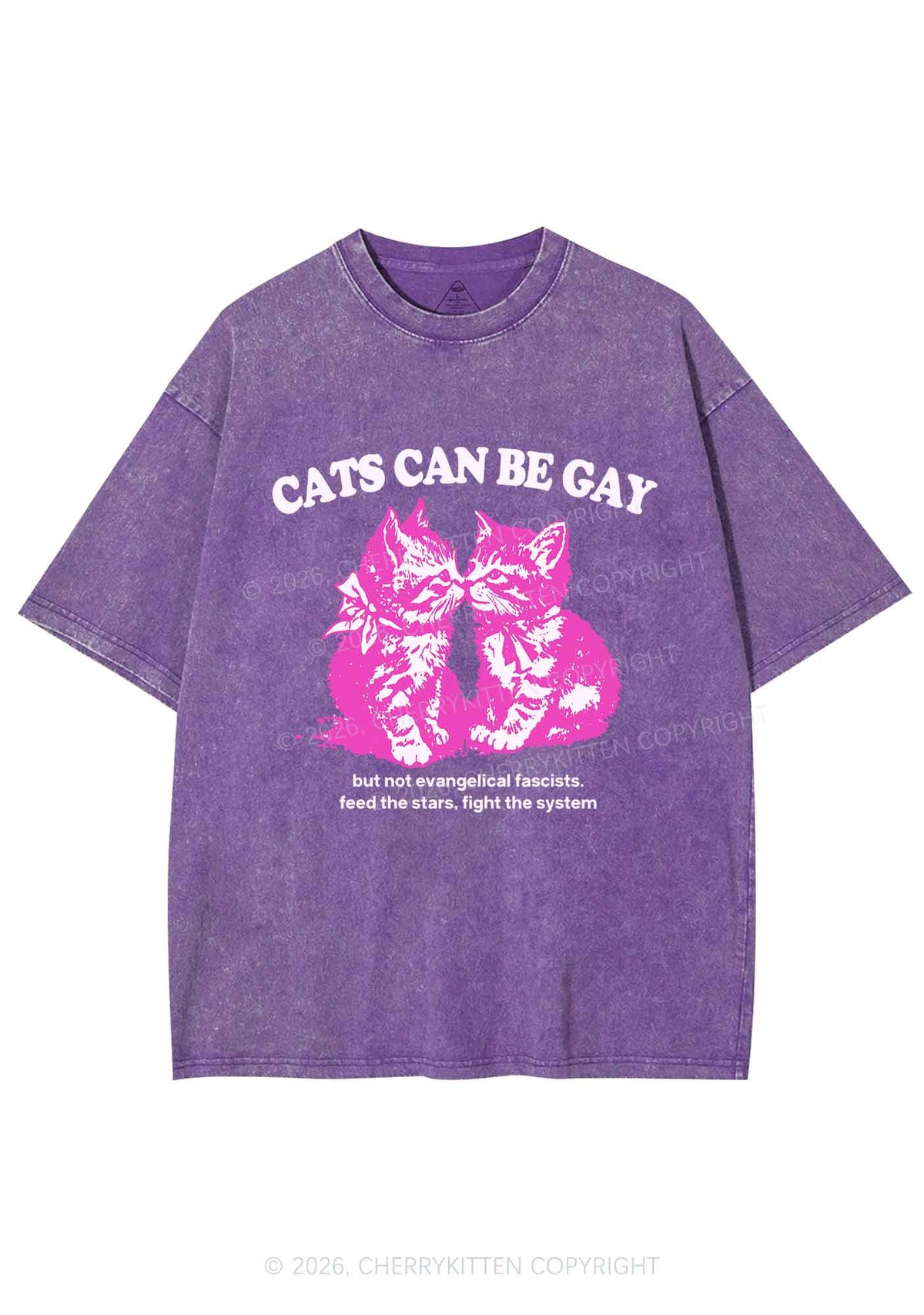 Cat Can Be Gay Pride Y2K Shirts Washed Tee Cherrykitten